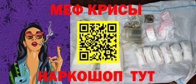 молекула духа Кингисепп