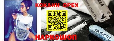 молекула духа Кингисепп
