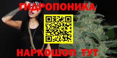 дурь Кимры