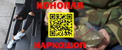 молекула духа Кингисепп