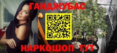 PSILOCYBIN Кинель