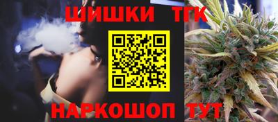молекула духа Кингисепп