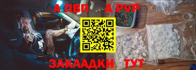 молекула духа Кингисепп