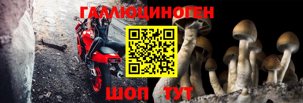Кстово  Галлюциногенные грибы прущие грибы  Вход с VPN 
