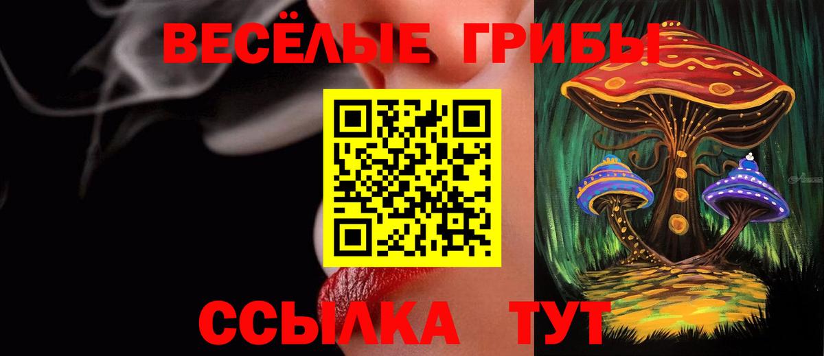 Псилоцибиновые грибы ЛСД Кстово